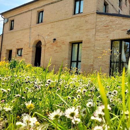 Agriturismo Campo Aperto Belvedere Ostrense 外观 照片