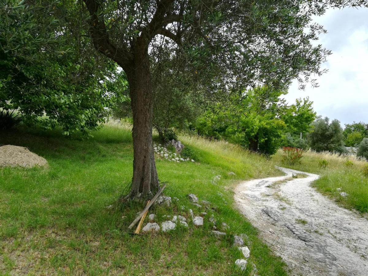 Agriturismo Campo Aperto Belvedere Ostrense 外观 照片