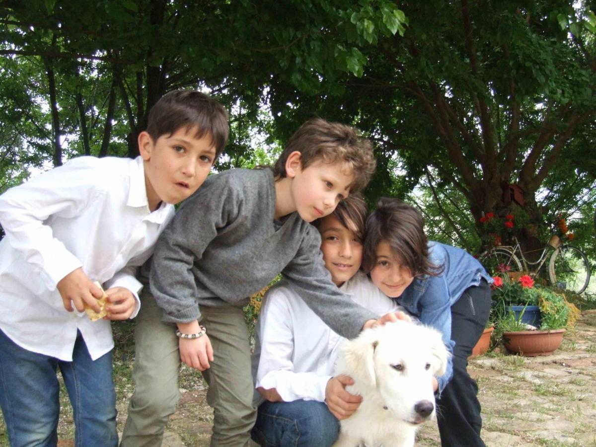 Agriturismo Campo Aperto Belvedere Ostrense 外观 照片