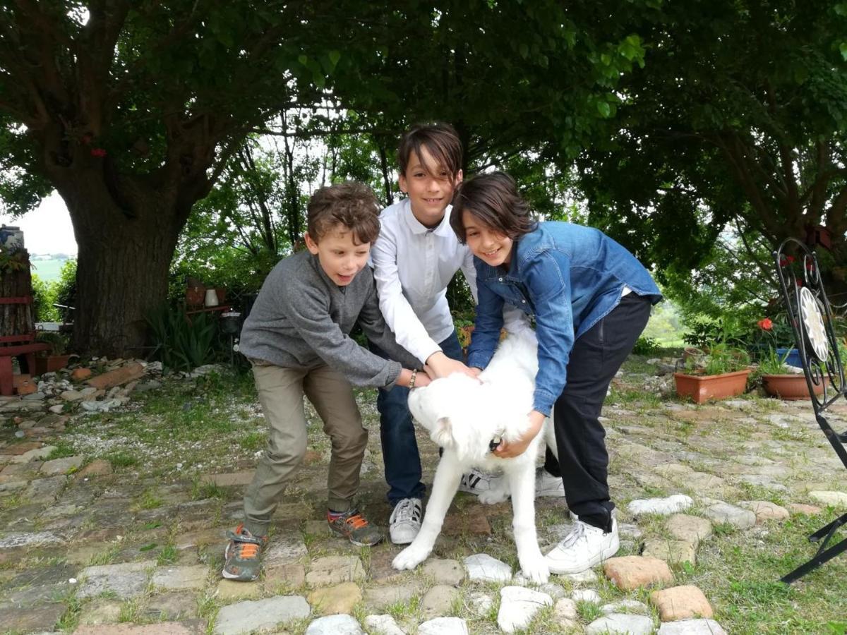 Agriturismo Campo Aperto Belvedere Ostrense 外观 照片