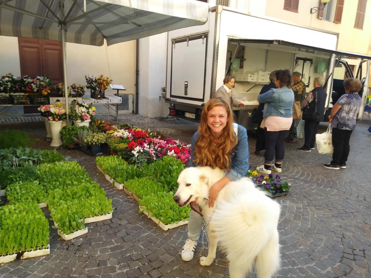 Agriturismo Campo Aperto Belvedere Ostrense 外观 照片