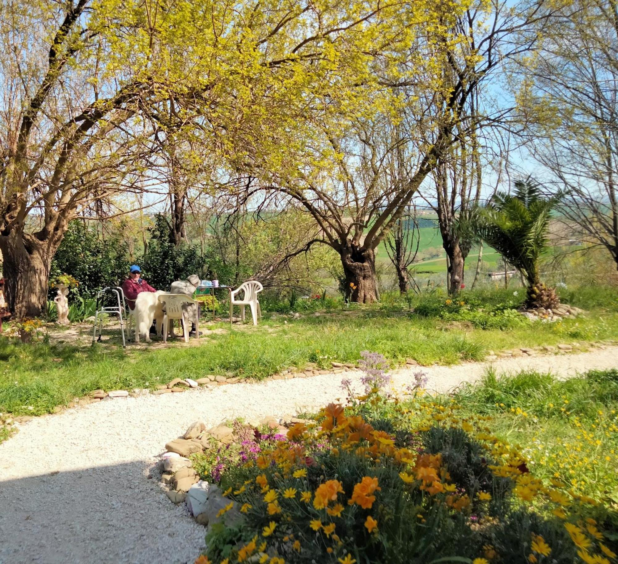 Agriturismo Campo Aperto Belvedere Ostrense 外观 照片