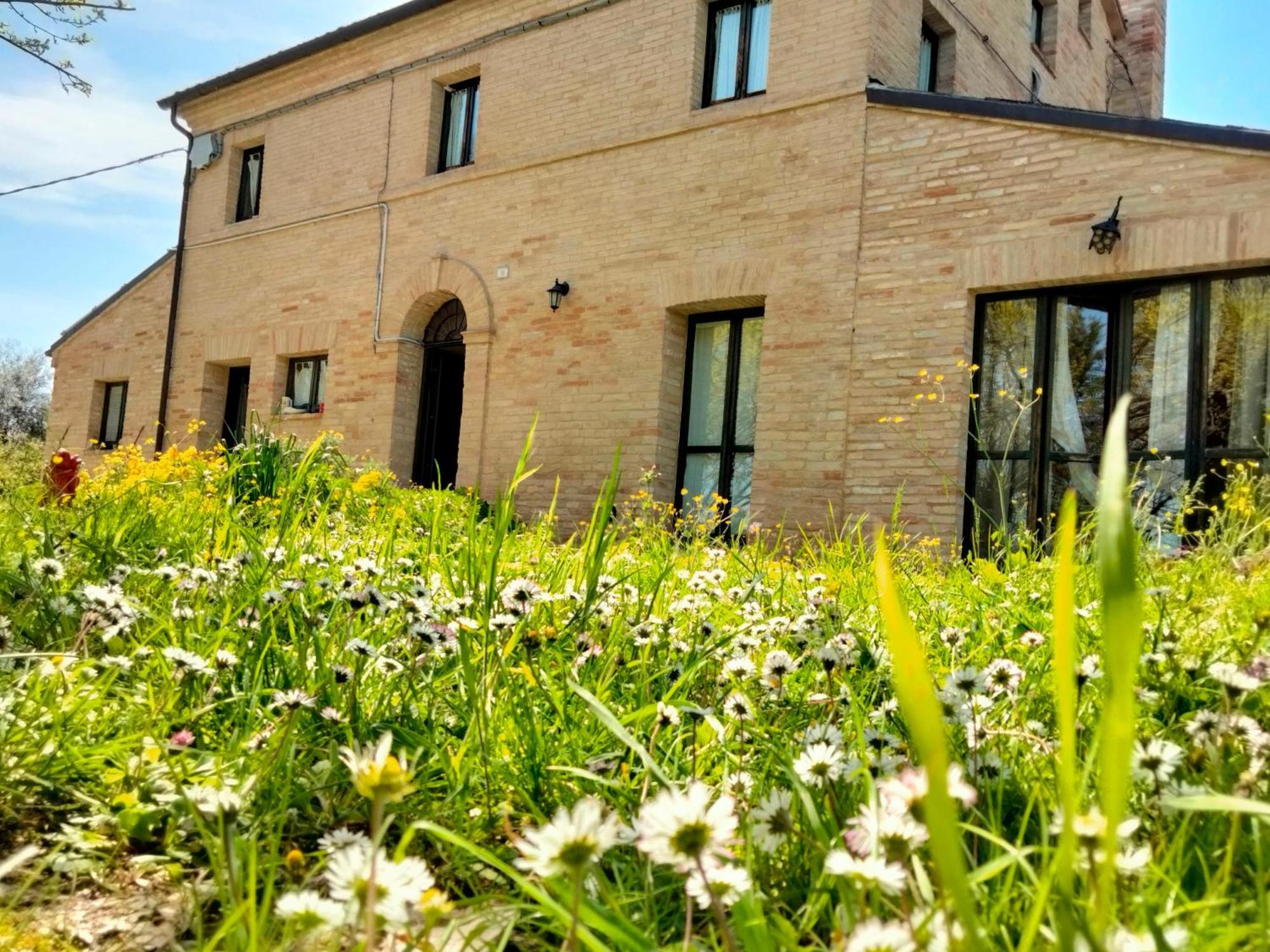 Agriturismo Campo Aperto Belvedere Ostrense 外观 照片